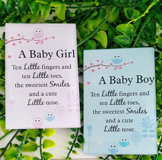 Glass Baby Plaques